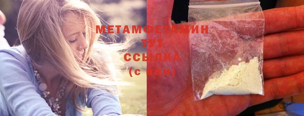 ПСИЛОЦИБИНОВЫЕ ГРИБЫ Гусь-Хрустальный