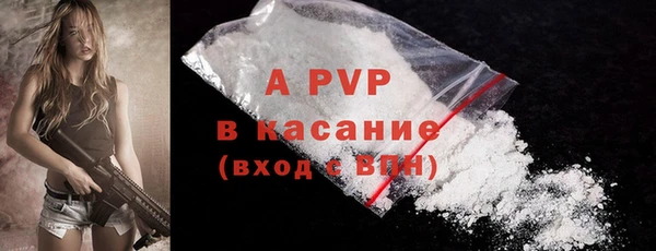 ПСИЛОЦИБИНОВЫЕ ГРИБЫ Гусь-Хрустальный