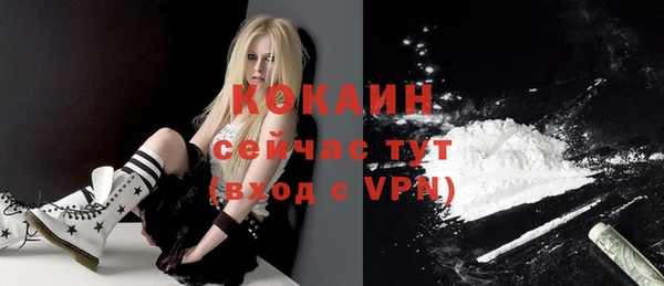 сатива Гусев