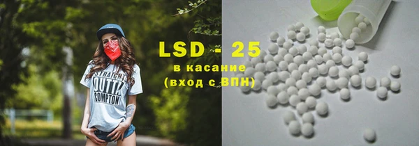 сатива Гусев