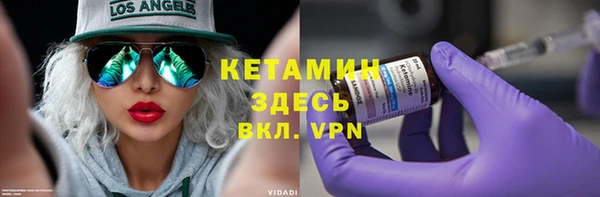 сатива Гусев