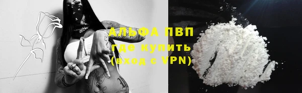 сатива Гусев