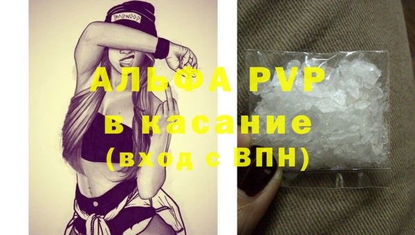 ПСИЛОЦИБИНОВЫЕ ГРИБЫ Гусь-Хрустальный