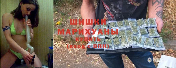 сатива Гусев