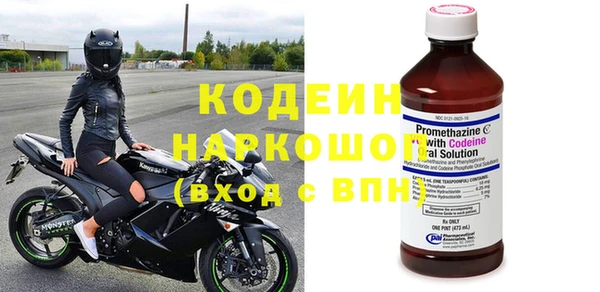ПСИЛОЦИБИНОВЫЕ ГРИБЫ Гусь-Хрустальный
