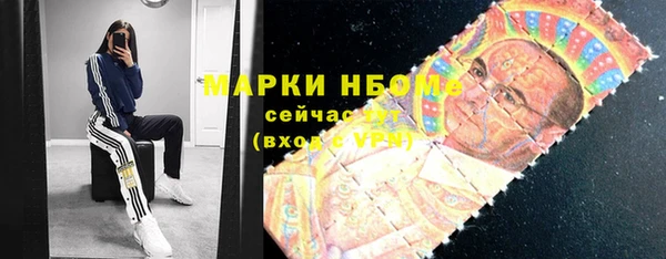 сатива Гусев