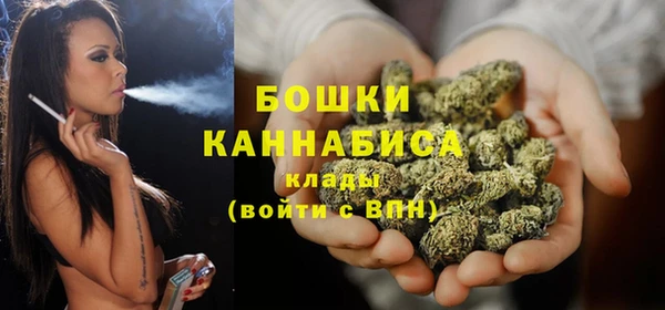 ПСИЛОЦИБИНОВЫЕ ГРИБЫ Гусь-Хрустальный
