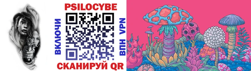 Псилоцибиновые грибы Cubensis  Купить  Ржев 
